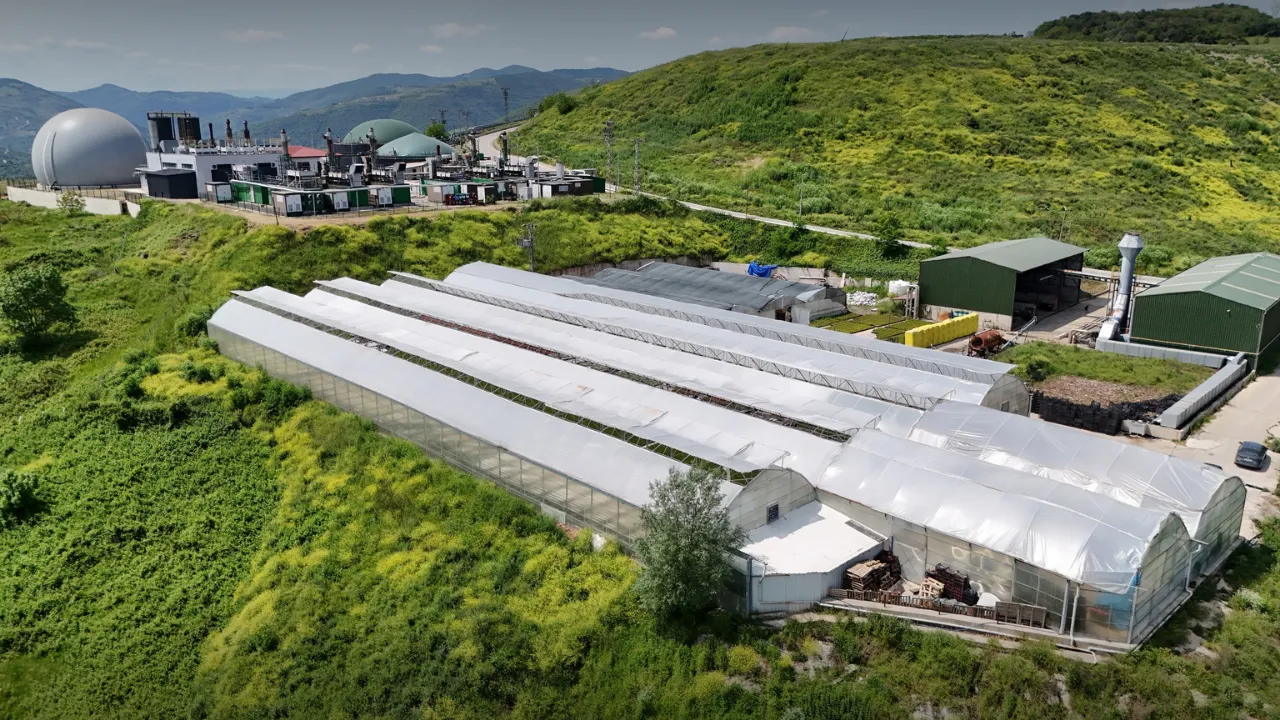 Samsun’da çöpten elde edilen ısıyla seralarda çiçek üretiliyor