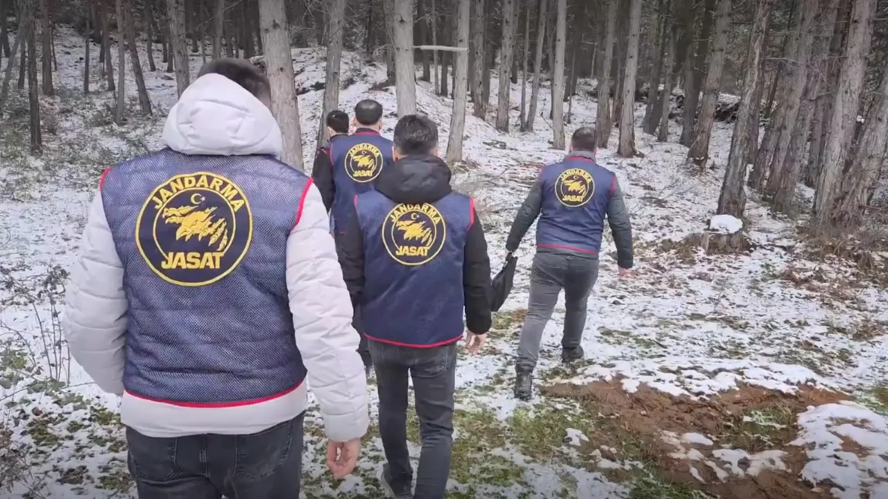 Ormanda bulunan kafatası ve kemik parçaları 2 kadına ait çıktı