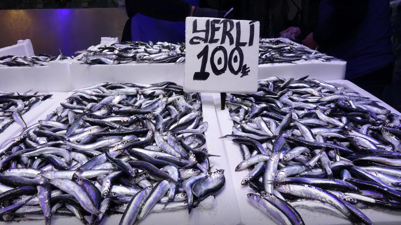 Ramazanda balık tezgahlarında hamsi ve istavrit bereketi