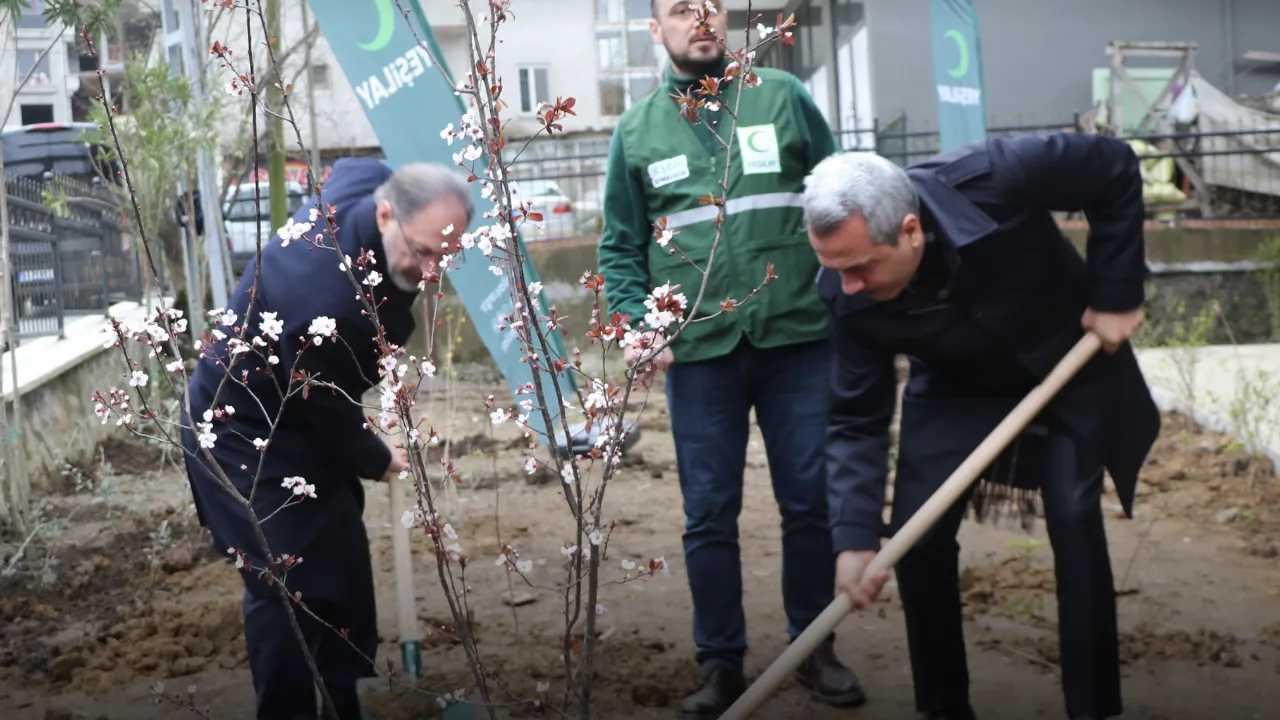 Rize'de Yeşilay Haftası kapsamında fidan dikim töreni düzenlendi
