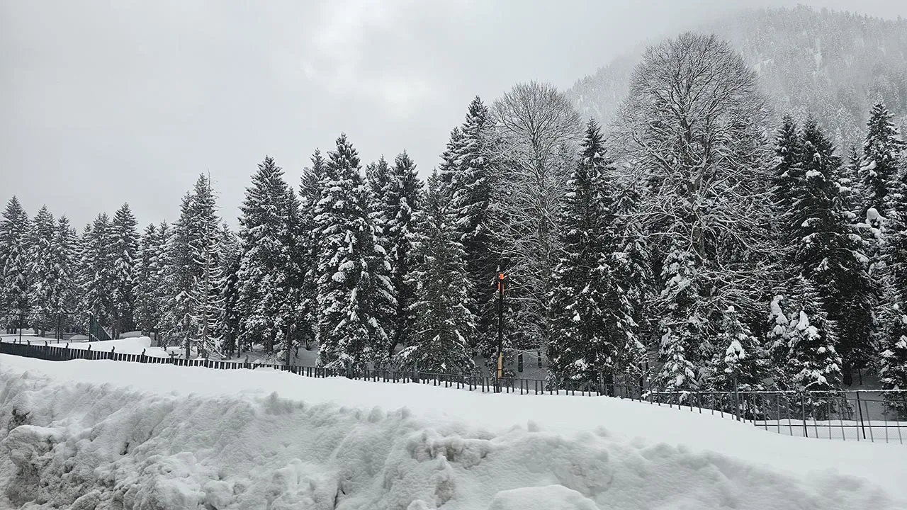 Rize'de 2 gündür aralıklarla devam eden yağmur, yüksek kesimlerde yerini kara bıraktı