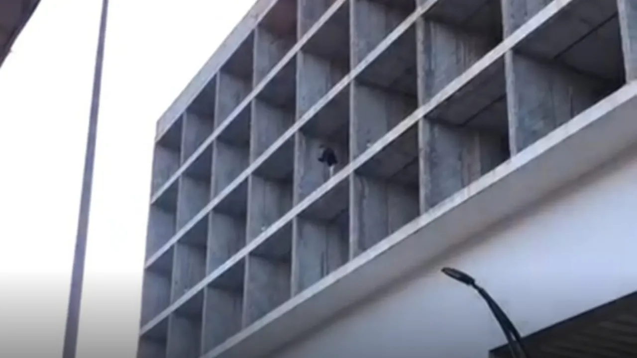 309 bin TL ceza yiyen sürücü inşaata çıktı