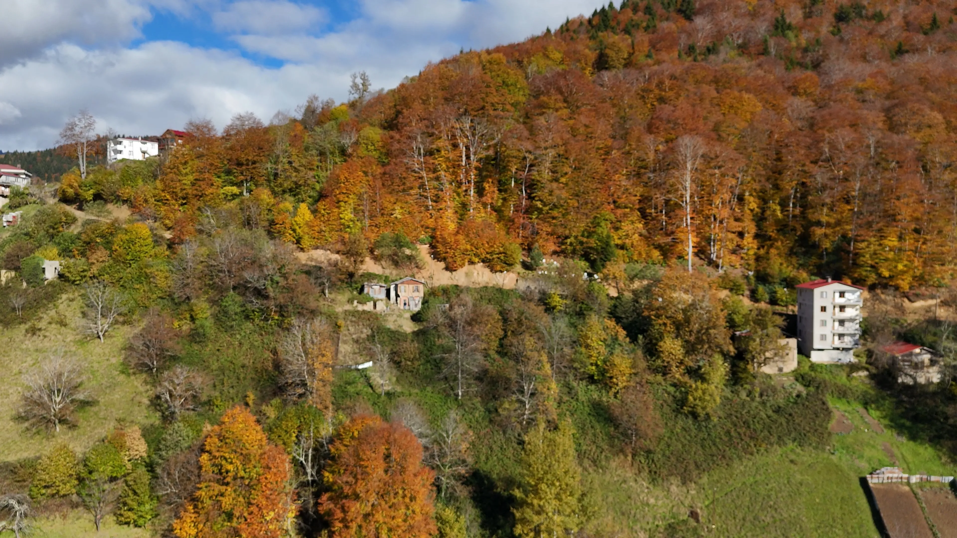 Rize'nin iki ilçesi diğerlerinden ayrıldı
