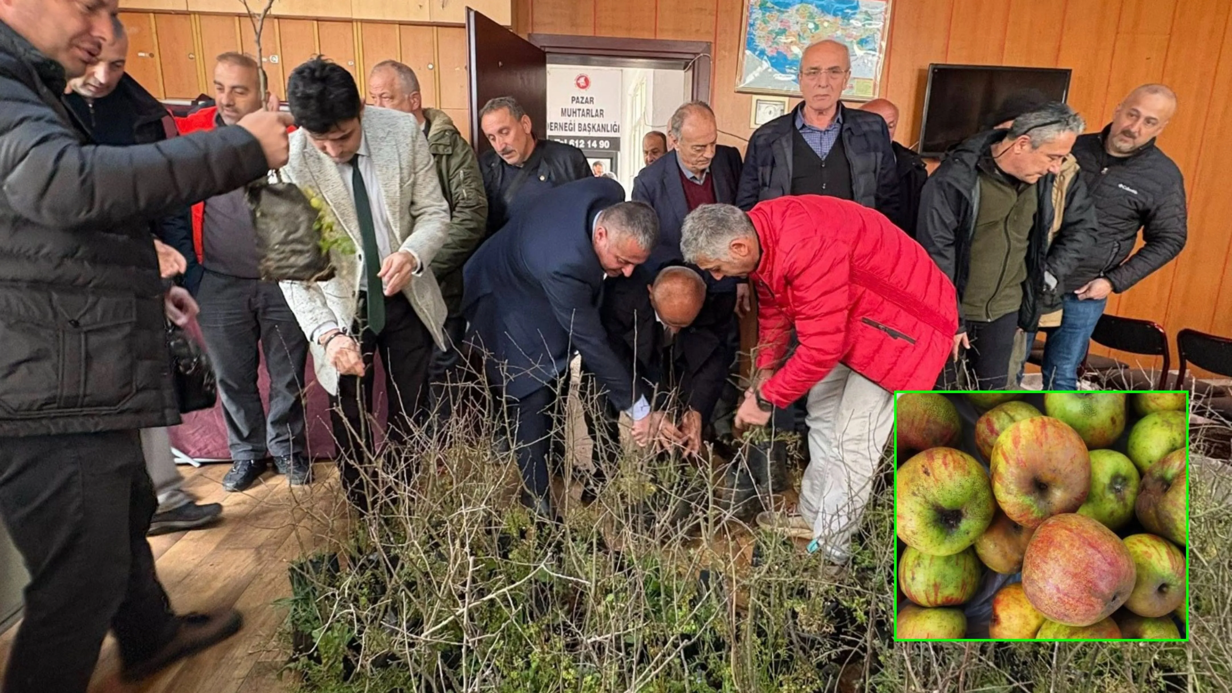 Pazar'da Laz elması için seferberlik başlatıldı