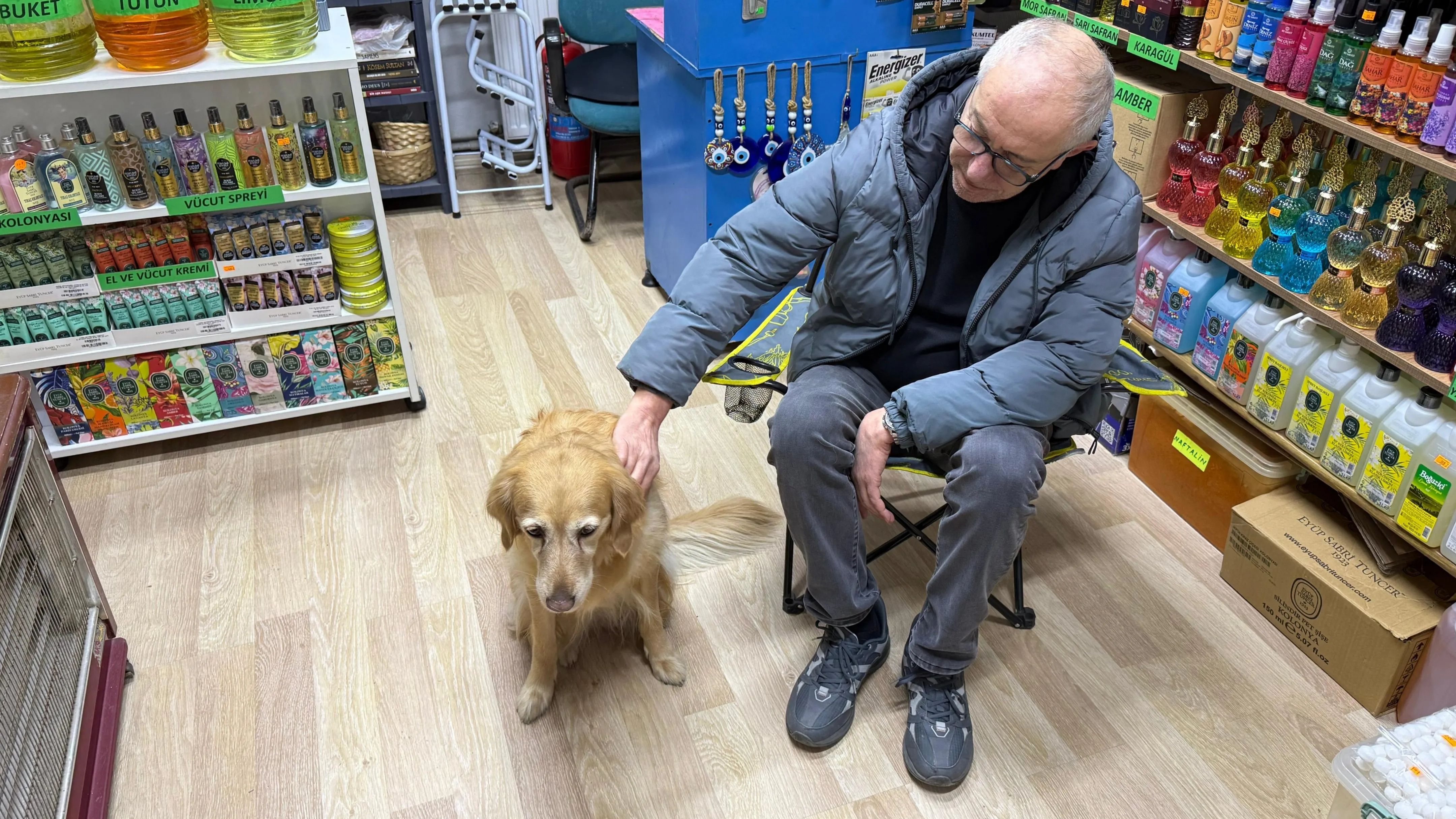 Hastalığına tanı konulamayan köpek sevginin gücüyle hayata bağlandı