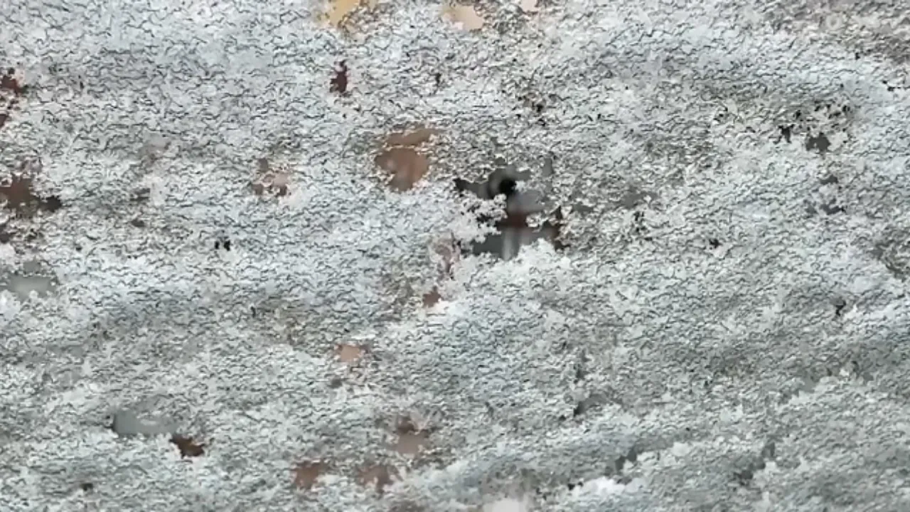 Erzurum'da baharda kar yağışı etkili oldu