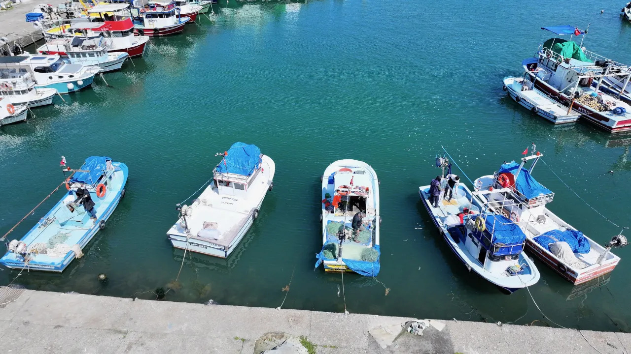 Batı Karadeniz ve Doğu Marmara'da balıkçılar bu sezon umduğunu bulamadı