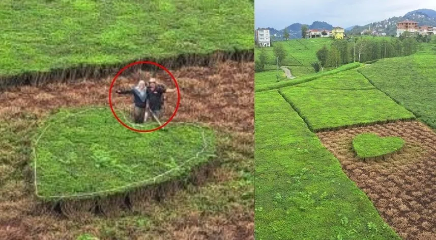 Rize'de eşi için çay bahçesini kalp şeklinde budadı