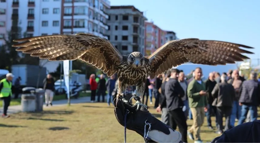 Rize'de atmaca güzellik ve beceri yarışması düzenlendi