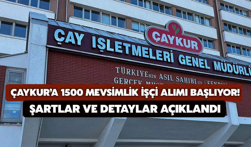 ÇAYKUR’a 1500 Mevsimlik İşçi Alımı Başlıyor! Şartlar ve Detaylar Açıklandı