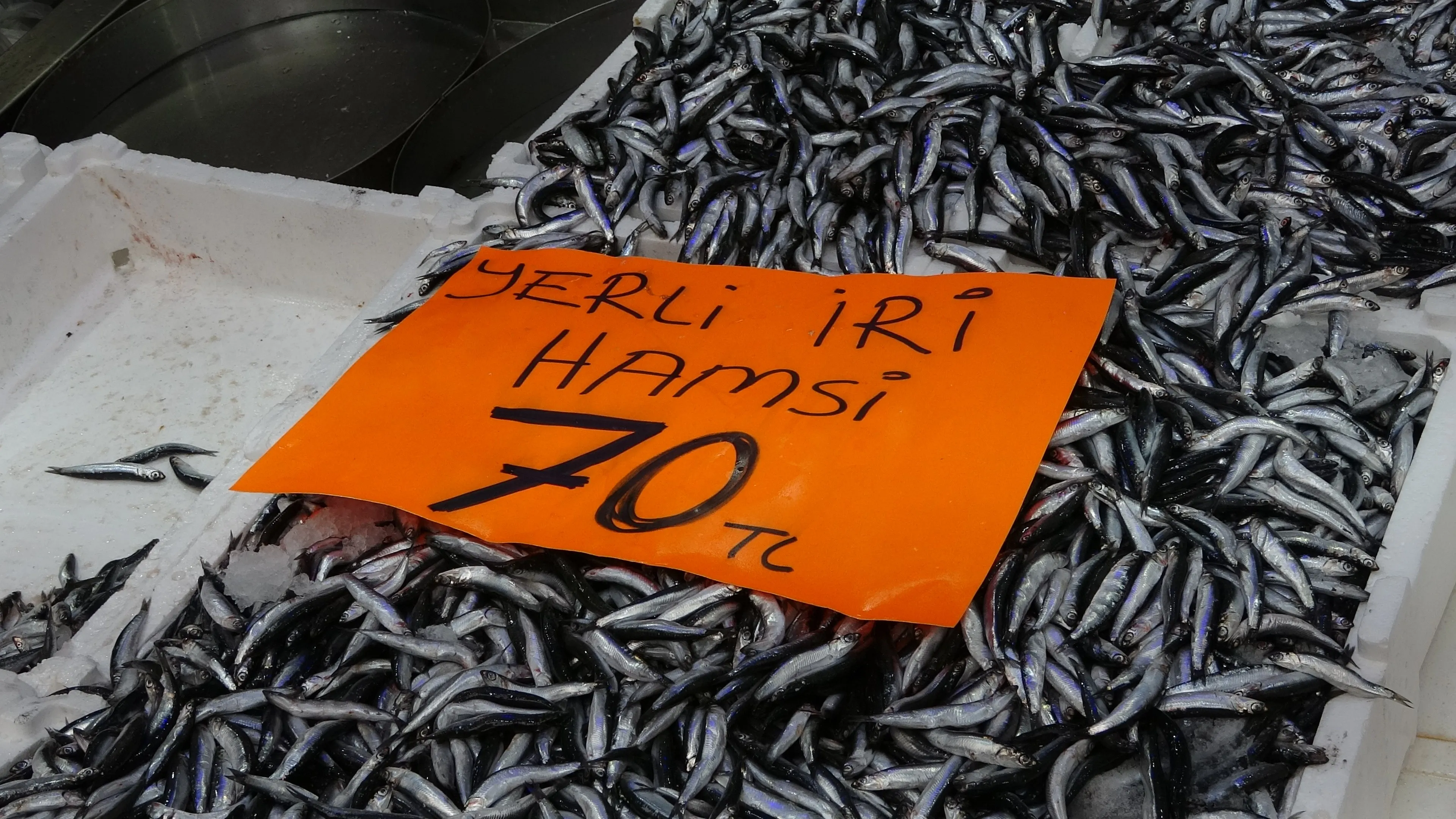 Hamsi 70 liraya düştü, vatandaş sevinçten çiğ yedi