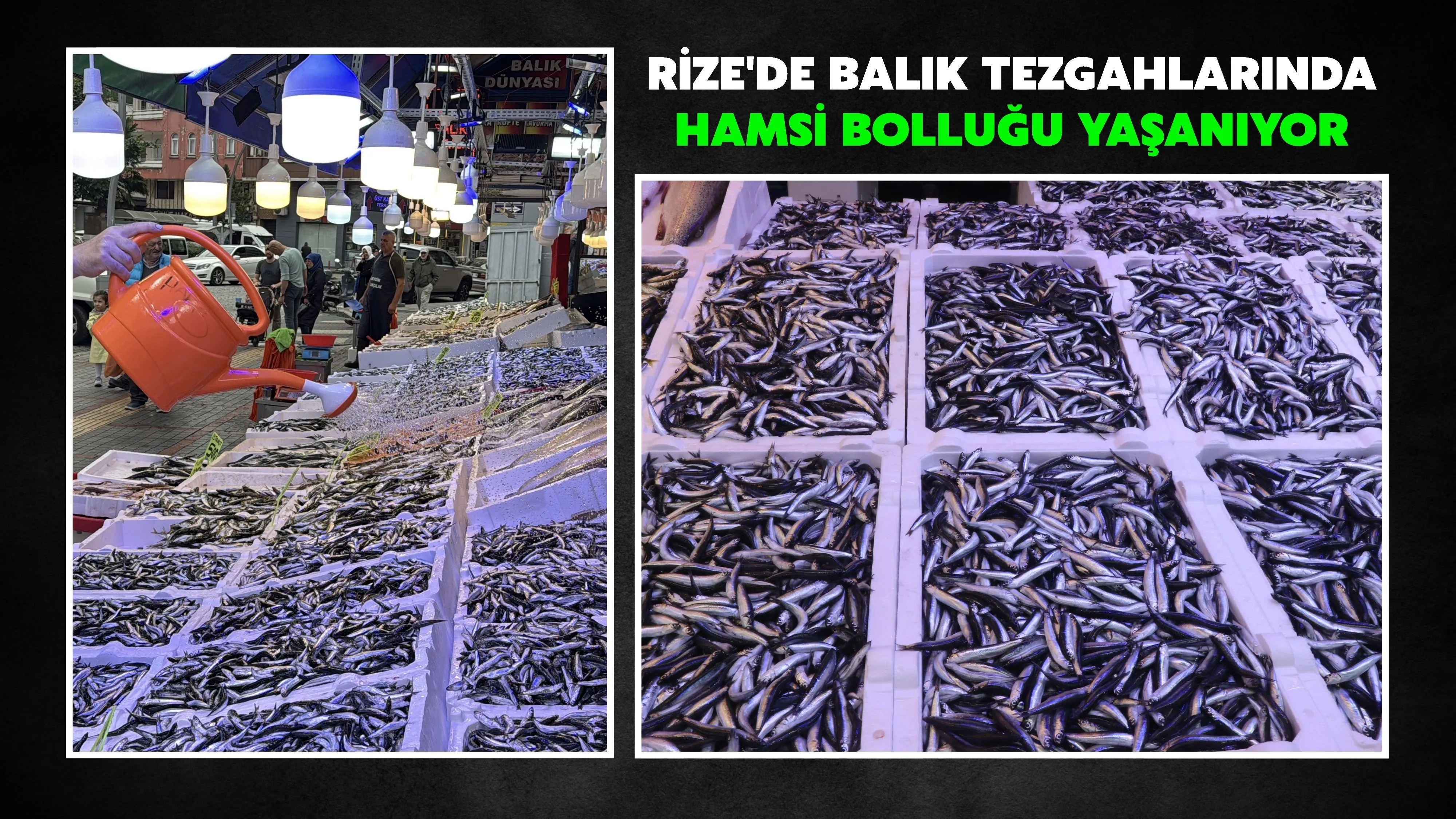 Rize'de balık tezgahlarında hamsi bolluğu yaşanıyor