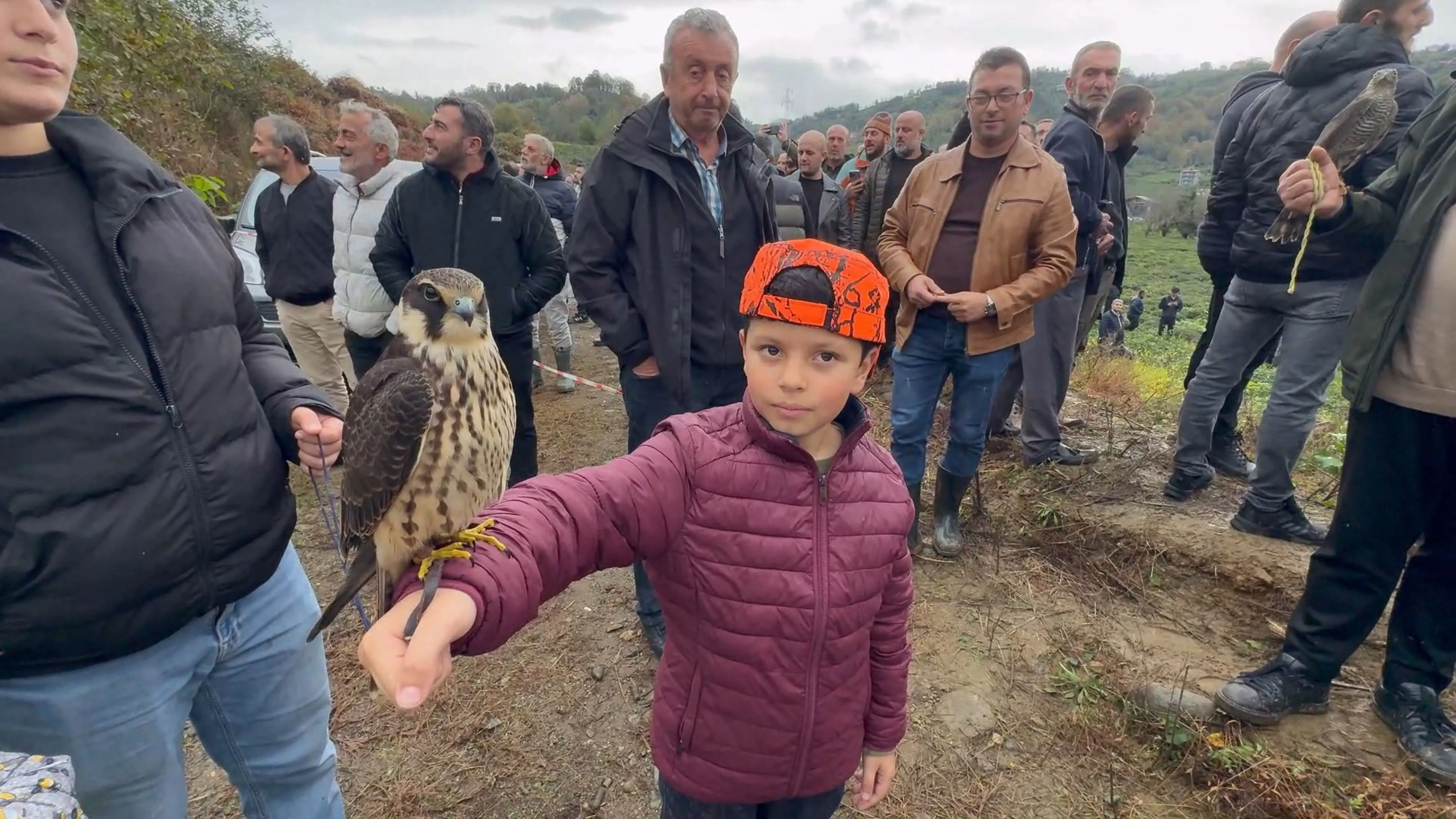Rize'de atmacalar bıldırcın avında yarıştı