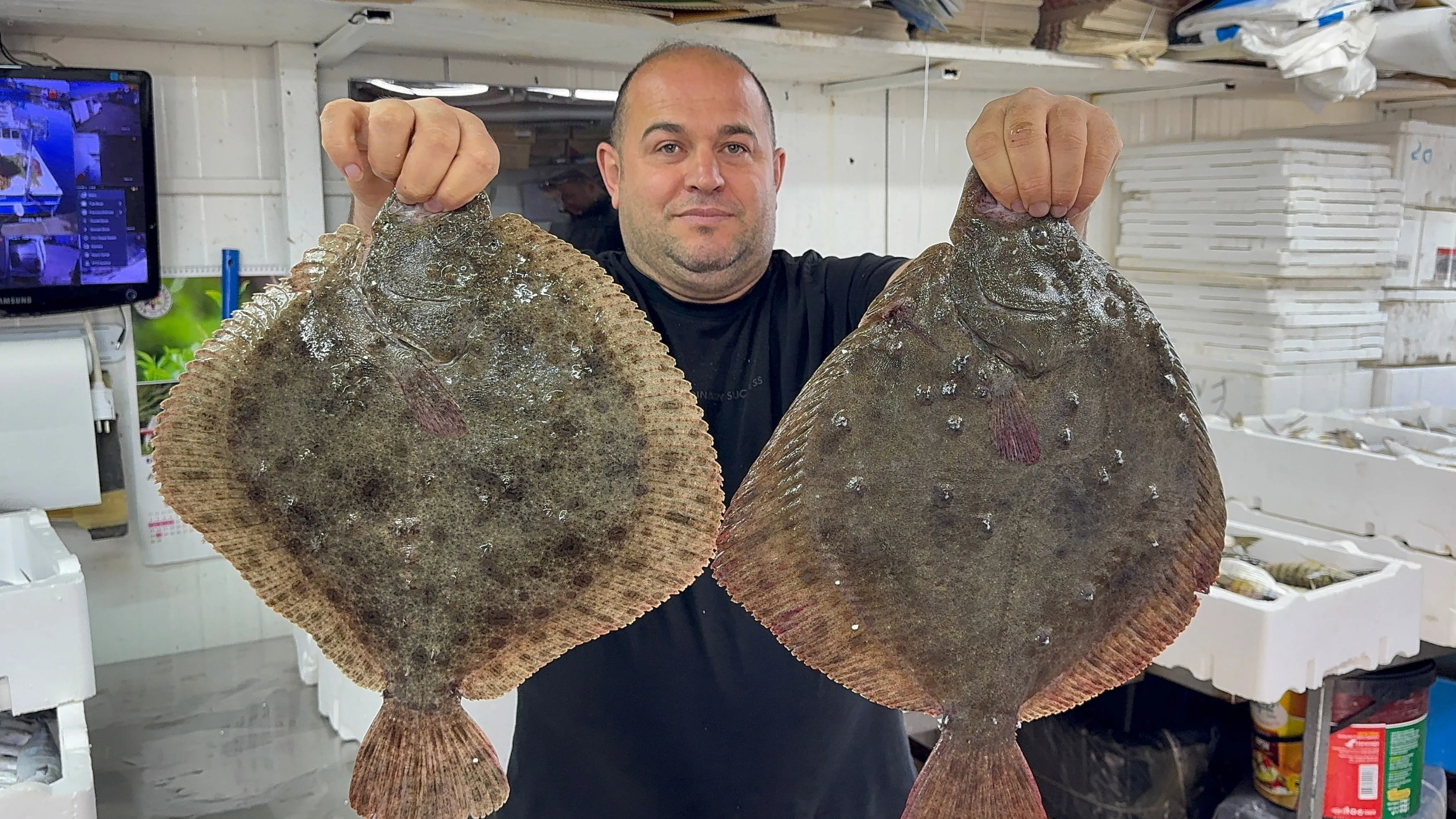 Karadeniz'de hamsi bereketi diğer balık türlerini de canlandırdı