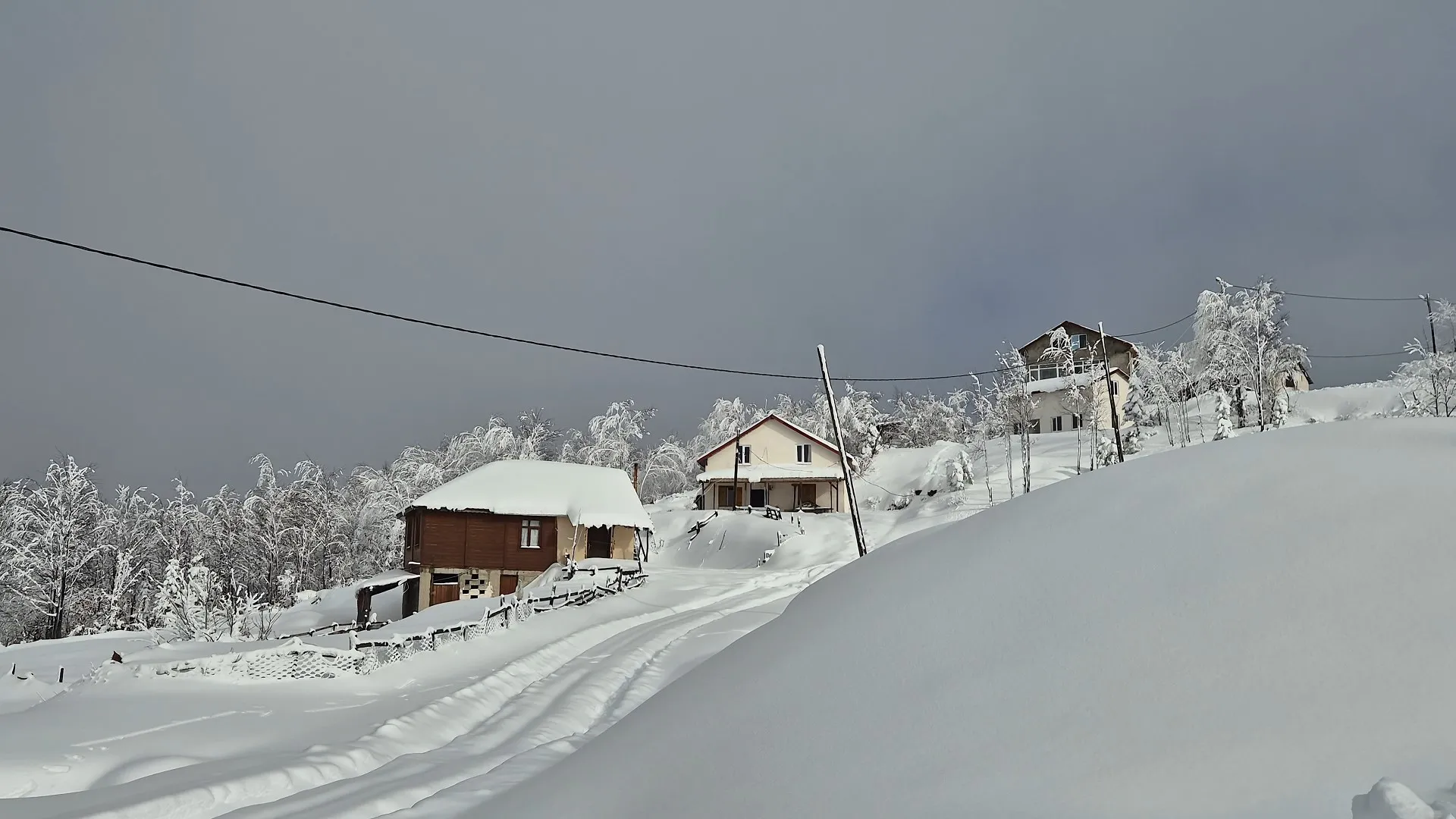 Rize’de yeşilin üzerine beyaz mucize: Handüzü Yaylası’nda kartpostallık kış
